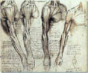 Leonardo6.jpg