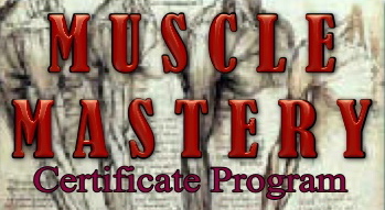SLIDES/MuscleMasterycertlogo.jpeg
